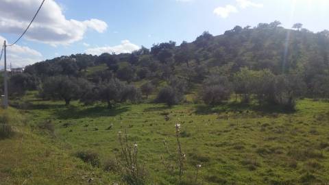 Terreno Rústico em Alcoutim