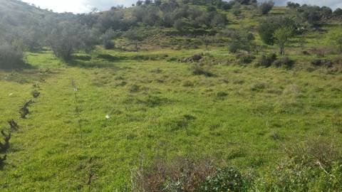 Terreno Rústico em Alcoutim
