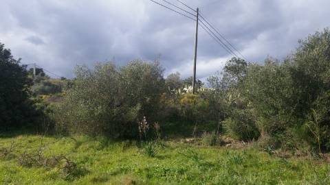 Terreno Rústico em Alcoutim