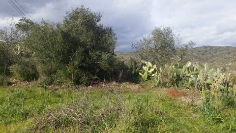 Terreno Rústico em Alcoutim