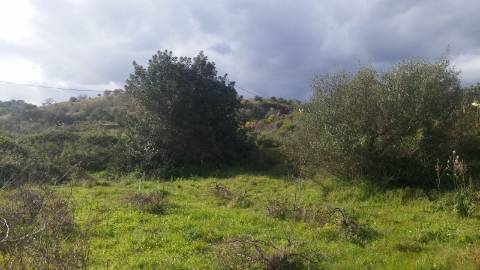 Terreno Rústico em Alcoutim