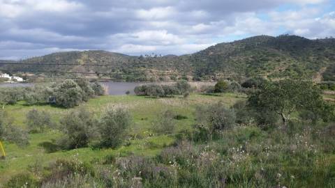 Terreno Rústico em Alcoutim