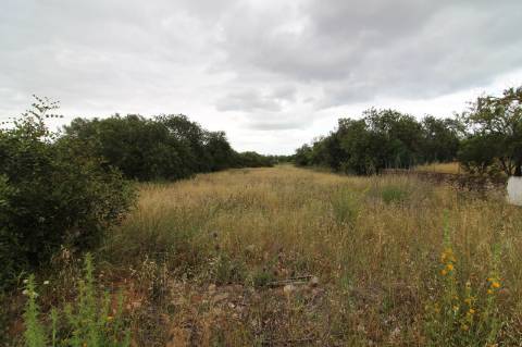 Terreno com 23332 m2 com viabilidade de construção de 61 apartamentos com 6249 m2 de área de construção sito nas Ferreiras em Albufeira