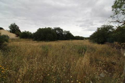 Terreno com 23332 m2 com viabilidade de construção de 61 apartamentos com 6249 m2 de área de construção sito nas Ferreiras em Albufeira