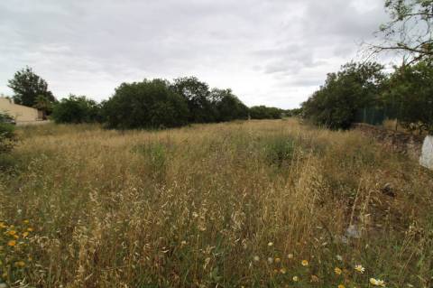 Terreno com 23332 m2 com viabilidade de construção de 61 apartamentos com 6249 m2 de área de construção sito nas Ferreiras em Albufeira