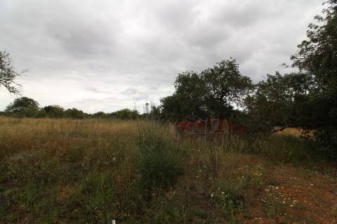 Terreno com 23332 m2 com viabilidade de construção de 61 apartamentos com 6249 m2 de área de construção sito nas Ferreiras em Albufeira