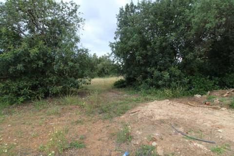 Terreno com 23332 m2 com viabilidade de construção de 61 apartamentos com 6249 m2 de área de construção sito nas Ferreiras em Albufeira