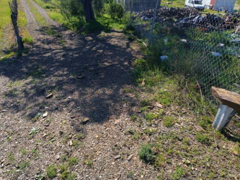 TERRENO RUSTICO COM 6.520 M2 - JUNTO A LINHA DA AGUA - PISA BARRO - CASTRO MARIM - ALGARVE