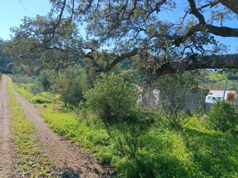 TERRENO RUSTICO COM 6.520 M2 - JUNTO A LINHA DA AGUA - PISA BARRO - CASTRO MARIM - ALGARVE
