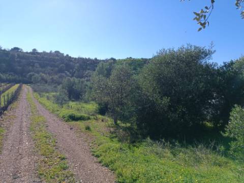 TERRENO RUSTICO COM 6.520 M2 - JUNTO A LINHA DA AGUA - PISA BARRO - CASTRO MARIM - ALGARVE