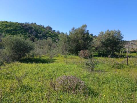 TERRENO RUSTICO COM 6.520 M2 - JUNTO A LINHA DA AGUA - PISA BARRO - CASTRO MARIM - ALGARVE