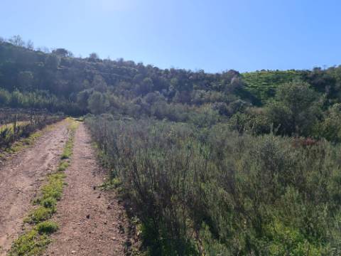 TERRENO RUSTICO COM 6.520 M2 - JUNTO A LINHA DA AGUA - PISA BARRO - CASTRO MARIM - ALGARVE