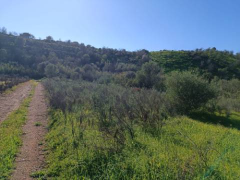 TERRENO RUSTICO COM 6.520 M2 - JUNTO A LINHA DA AGUA - PISA BARRO - CASTRO MARIM - ALGARVE