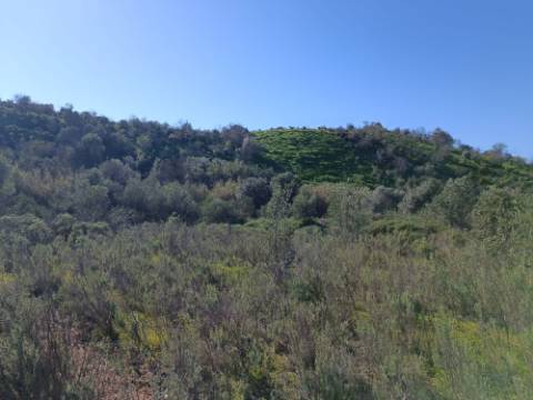 TERRENO RUSTICO COM 6.520 M2 - JUNTO A LINHA DA AGUA - PISA BARRO - CASTRO MARIM - ALGARVE