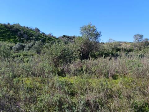 TERRENO RUSTICO COM 6.520 M2 - JUNTO A LINHA DA AGUA - PISA BARRO - CASTRO MARIM - ALGARVE