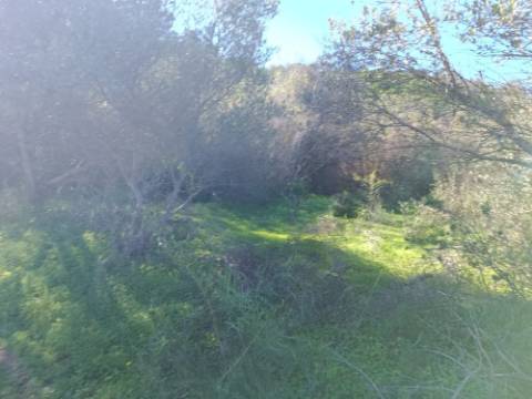 TERRENO RUSTICO COM 6.520 M2 - JUNTO A LINHA DA AGUA - PISA BARRO - CASTRO MARIM - ALGARVE