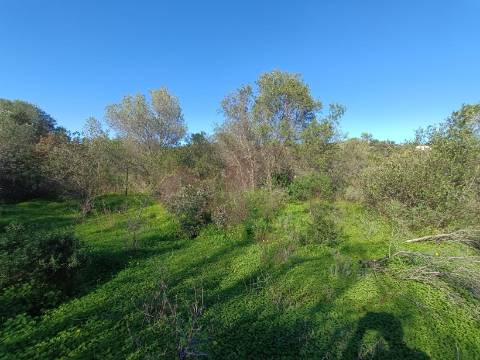 TERRENO RUSTICO COM 6.520 M2 - JUNTO A LINHA DA AGUA - PISA BARRO - CASTRO MARIM - ALGARVE