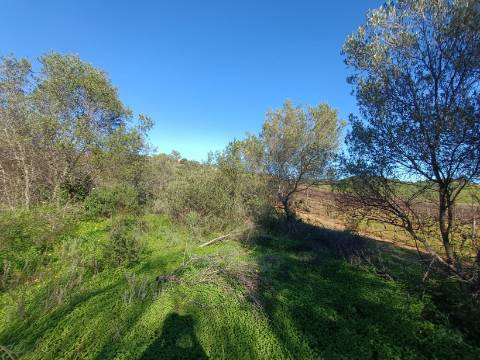 TERRENO RUSTICO COM 6.520 M2 - JUNTO A LINHA DA AGUA - PISA BARRO - CASTRO MARIM - ALGARVE
