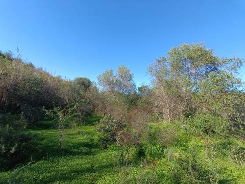 TERRENO RUSTICO COM 6.520 M2 - JUNTO A LINHA DA AGUA - PISA BARRO - CASTRO MARIM - ALGARVE