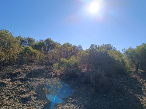 TERRENO COM 74.680 M2 - COM LAGO - POSSIBILIDADE DE CONSTRUÇÃO - TURISMO E HABITAÇÃO - PRÓXIMO A ALCARIA QUEIMADA - MONTE DAS PREGUIÇAS EM VAQUEIROS - ALCOUTIM