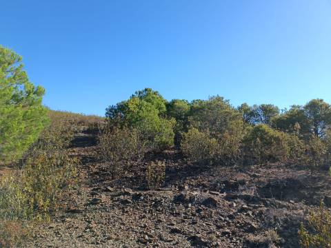 TERRENO COM 74.680 M2 - COM LAGO - POSSIBILIDADE DE CONSTRUÇÃO - TURISMO E HABITAÇÃO - PRÓXIMO A ALCARIA QUEIMADA - MONTE DAS PREGUIÇAS EM VAQUEIROS - ALCOUTIM