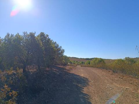 TERRENO COM 74.680 M2 - COM LAGO - POSSIBILIDADE DE CONSTRUÇÃO - TURISMO E HABITAÇÃO - PRÓXIMO A ALCARIA QUEIMADA - MONTE DAS PREGUIÇAS EM VAQUEIROS - ALCOUTIM