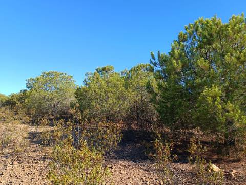 TERRENO COM 74.680 M2 - COM LAGO - POSSIBILIDADE DE CONSTRUÇÃO - TURISMO E HABITAÇÃO - PRÓXIMO A ALCARIA QUEIMADA - MONTE DAS PREGUIÇAS EM VAQUEIROS - ALCOUTIM