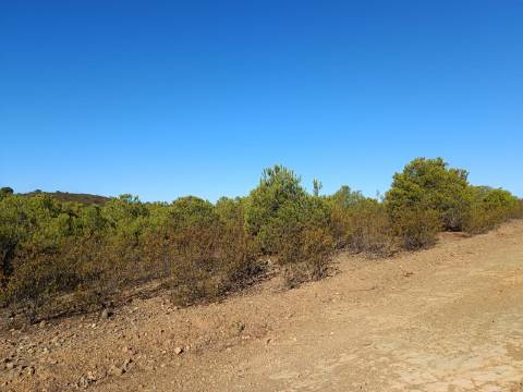 TERRENO COM 74.680 M2 - COM LAGO - POSSIBILIDADE DE CONSTRUÇÃO - TURISMO E HABITAÇÃO - PRÓXIMO A ALCARIA QUEIMADA - MONTE DAS PREGUIÇAS EM VAQUEIROS - ALCOUTIM