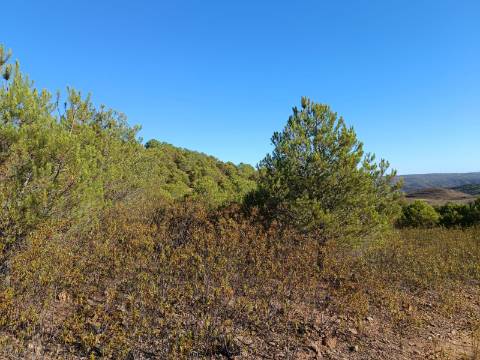 TERRENO COM 74.680 M2 - COM LAGO - POSSIBILIDADE DE CONSTRUÇÃO - TURISMO E HABITAÇÃO - PRÓXIMO A ALCARIA QUEIMADA - MONTE DAS PREGUIÇAS EM VAQUEIROS - ALCOUTIM
