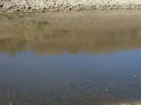 TERRENO COM 74.680 M2 - COM LAGO - POSSIBILIDADE DE CONSTRUÇÃO - TURISMO E HABITAÇÃO - PRÓXIMO A ALCARIA QUEIMADA - MONTE DAS PREGUIÇAS EM VAQUEIROS - ALCOUTIM