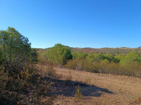 TERRENO COM 74.680 M2 - COM LAGO - POSSIBILIDADE DE CONSTRUÇÃO - TURISMO E HABITAÇÃO - PRÓXIMO A ALCARIA QUEIMADA - MONTE DAS PREGUIÇAS EM VAQUEIROS - ALCOUTIM