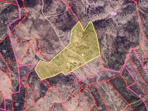 TERRENO COM 74.680 M2 - COM LAGO - POSSIBILIDADE DE CONSTRUÇÃO - TURISMO E HABITAÇÃO - PRÓXIMO A ALCARIA QUEIMADA - MONTE DAS PREGUIÇAS EM VAQUEIROS - ALCOUTIM