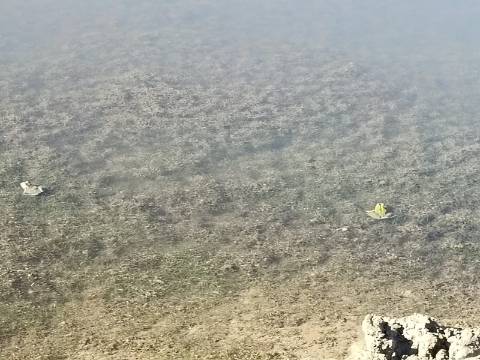 TERRENO COM 74.680 M2 - COM LAGO - POSSIBILIDADE DE CONSTRUÇÃO - TURISMO E HABITAÇÃO - PRÓXIMO A ALCARIA QUEIMADA - MONTE DAS PREGUIÇAS EM VAQUEIROS - ALCOUTIM