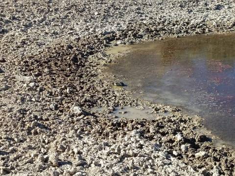 TERRENO COM 74.680 M2 - COM LAGO - POSSIBILIDADE DE CONSTRUÇÃO - TURISMO E HABITAÇÃO - PRÓXIMO A ALCARIA QUEIMADA - MONTE DAS PREGUIÇAS EM VAQUEIROS - ALCOUTIM