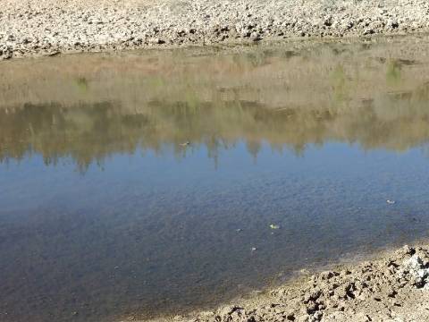 TERRENO COM 74.680 M2 - COM LAGO - POSSIBILIDADE DE CONSTRUÇÃO - TURISMO E HABITAÇÃO - PRÓXIMO A ALCARIA QUEIMADA - MONTE DAS PREGUIÇAS EM VAQUEIROS - ALCOUTIM