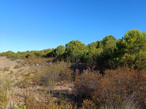 TERRENO COM 74.680 M2 - COM LAGO - POSSIBILIDADE DE CONSTRUÇÃO - TURISMO E HABITAÇÃO - PRÓXIMO A ALCARIA QUEIMADA - MONTE DAS PREGUIÇAS EM VAQUEIROS - ALCOUTIM