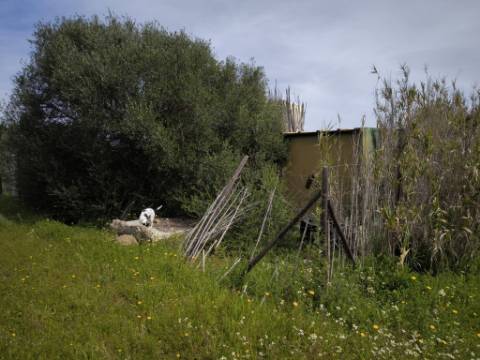 TERRENO COM 1.360 M2 - COM FURO - ÁGUA E ELETRICIDADE - JUNTO AO RIO GUADIANA - FOZ DE ODELEITE - CASTRO MARIM - ALGARVE
