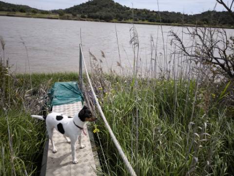 TERRENO COM 1.360 M2 - COM FURO - ÁGUA E ELETRICIDADE - JUNTO AO RIO GUADIANA - FOZ DE ODELEITE - CASTRO MARIM - ALGARVE