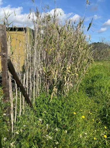 TERRENO COM 1.360 M2 - COM FURO - ÁGUA E ELETRICIDADE - JUNTO AO RIO GUADIANA - FOZ DE ODELEITE - CASTRO MARIM - ALGARVE