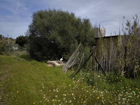 TERRENO COM 1.360 M2 - COM FURO - ÁGUA E ELETRICIDADE - JUNTO AO RIO GUADIANA - FOZ DE ODELEITE - CASTRO MARIM - ALGARVE