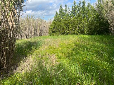 TERRENO COM 1.360 M2 - COM FURO - ÁGUA E ELETRICIDADE - JUNTO AO RIO GUADIANA - FOZ DE ODELEITE - CASTRO MARIM - ALGARVE
