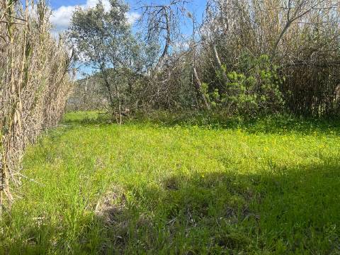 TERRENO COM 1.360 M2 - COM FURO - ÁGUA E ELETRICIDADE - JUNTO AO RIO GUADIANA - FOZ DE ODELEITE - CASTRO MARIM - ALGARVE
