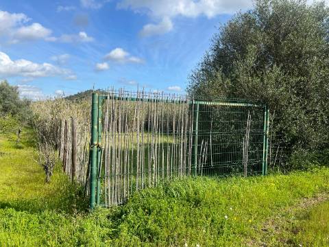 TERRENO COM 1.360 M2 - COM FURO - ÁGUA E ELETRICIDADE - JUNTO AO RIO GUADIANA - FOZ DE ODELEITE - CASTRO MARIM - ALGARVE