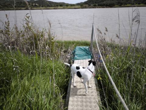 TERRENO COM 1.360 M2 - COM FURO - ÁGUA E ELETRICIDADE - JUNTO AO RIO GUADIANA - FOZ DE ODELEITE - CASTRO MARIM - ALGARVE