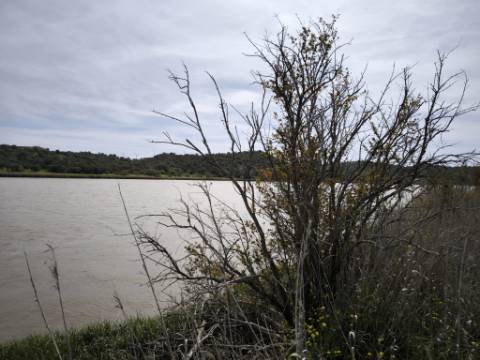 TERRENO COM 1.360 M2 - COM FURO - ÁGUA E ELETRICIDADE - JUNTO AO RIO GUADIANA - FOZ DE ODELEITE - CASTRO MARIM - ALGARVE