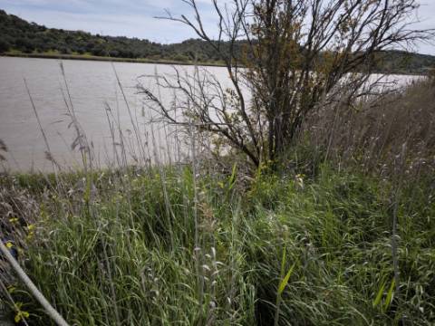 TERRENO COM 1.360 M2 - COM FURO - ÁGUA E ELETRICIDADE - JUNTO AO RIO GUADIANA - FOZ DE ODELEITE - CASTRO MARIM - ALGARVE