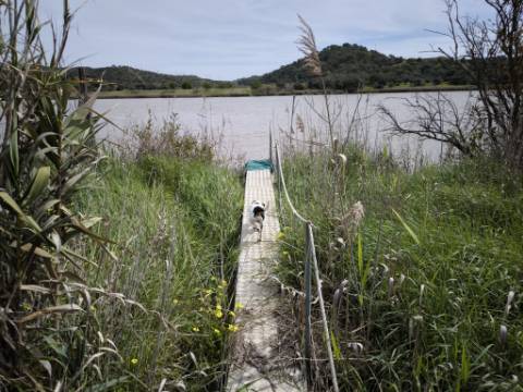 TERRENO COM 1.360 M2 - COM FURO - ÁGUA E ELETRICIDADE - JUNTO AO RIO GUADIANA - FOZ DE ODELEITE - CASTRO MARIM - ALGARVE