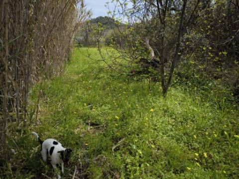 TERRENO COM 1.360 M2 - COM FURO - ÁGUA E ELETRICIDADE - JUNTO AO RIO GUADIANA - FOZ DE ODELEITE - CASTRO MARIM - ALGARVE