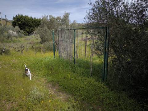 TERRENO COM 1.360 M2 - COM FURO - ÁGUA E ELETRICIDADE - JUNTO AO RIO GUADIANA - FOZ DE ODELEITE - CASTRO MARIM - ALGARVE