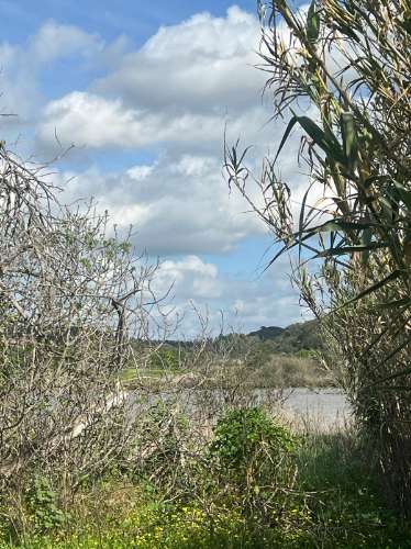 TERRENO COM 1.360 M2 - COM FURO - ÁGUA E ELETRICIDADE - JUNTO AO RIO GUADIANA - FOZ DE ODELEITE - CASTRO MARIM - ALGARVE